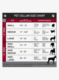 Nightmare Before Christmas Jack Expression Stack Seatbelt Buckle Dog Collar -Out Decor Home Shop 19876787 av2