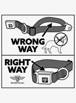 Disney Nightmare Before Christmas Jack Oogie Boogie Santa Seatbelt Buckle Dog Collar -Out Decor Home Shop 19876799 av4