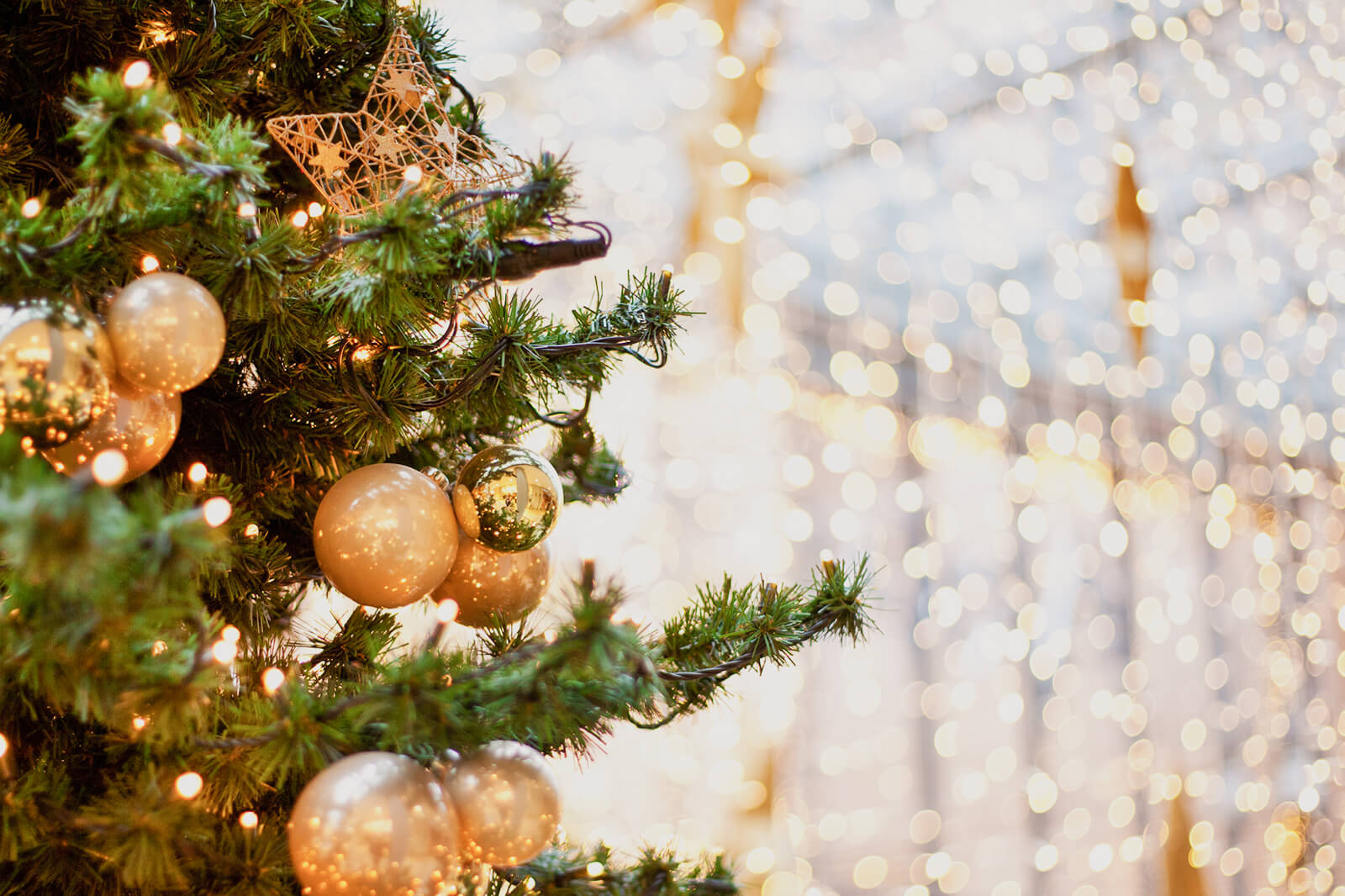 Out Decor Home Shop -Out Decor Home Shop 273890 1600x1066 quick history christmas lights